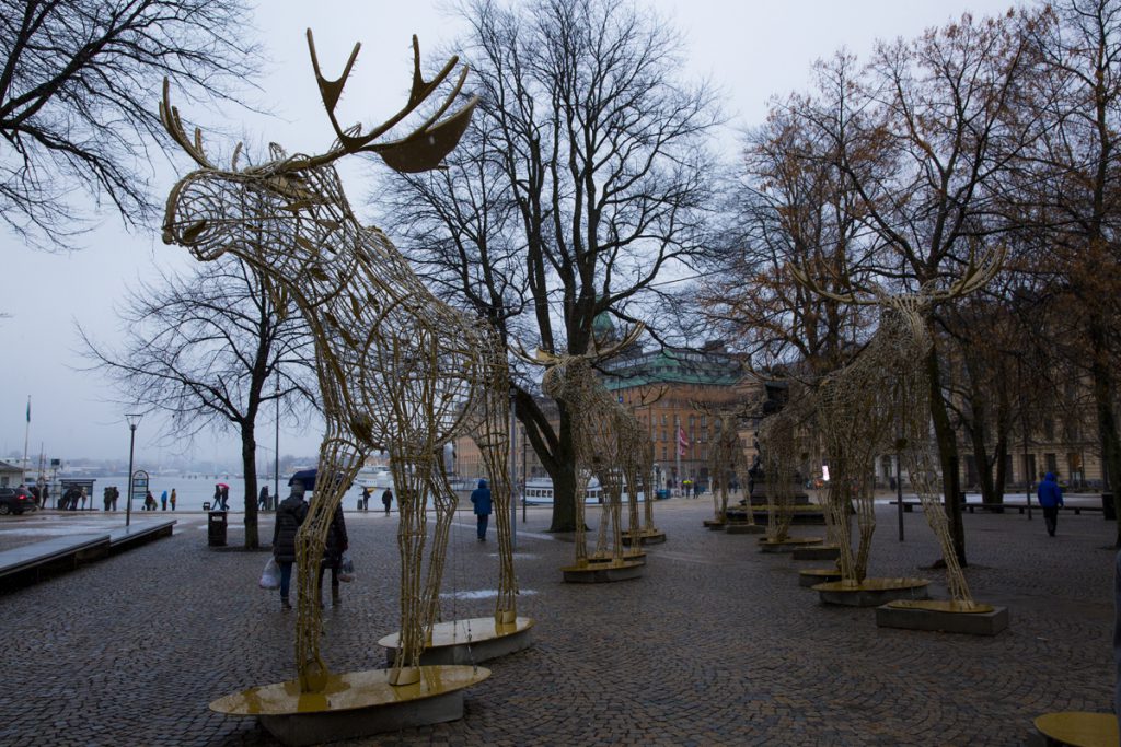 Älgarna i Stockholm. Demonstrerar dom? Har de fått nog?