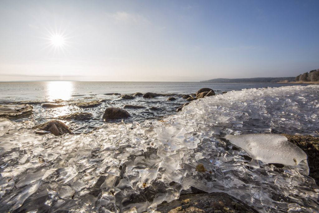 Solen har nu bränt bort dimman och sänder sina strålar på de vackra iskristallerna som formats vid strandkanten