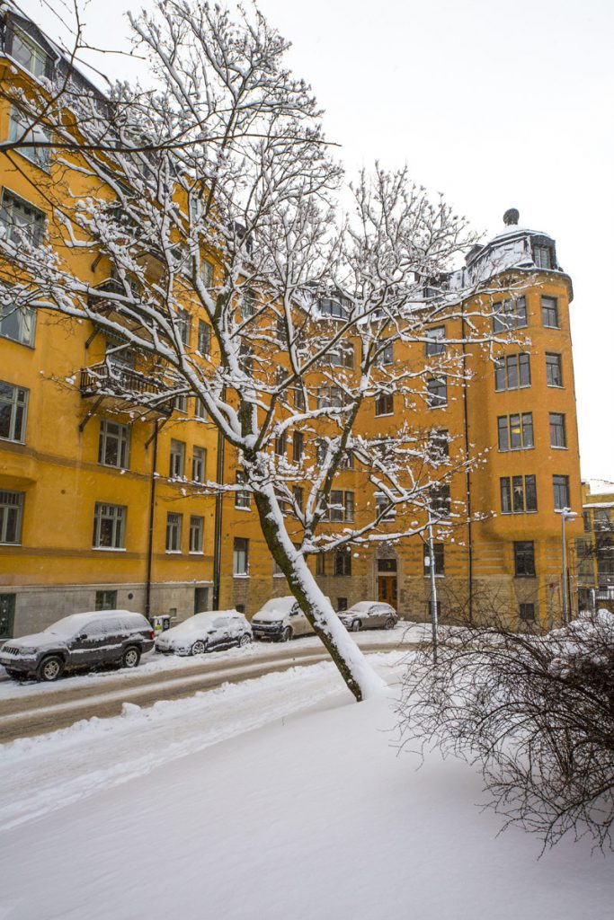 Tegnerlunden i gult och vitt