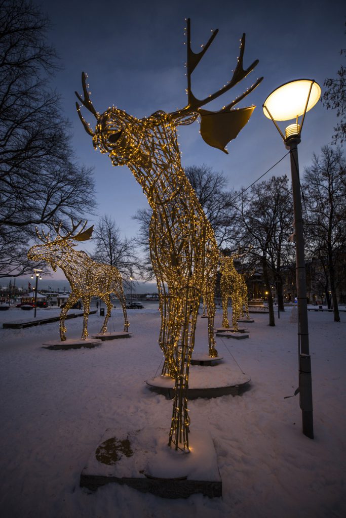 En gäng med maffiga älgar på språng i stan. Läckert!