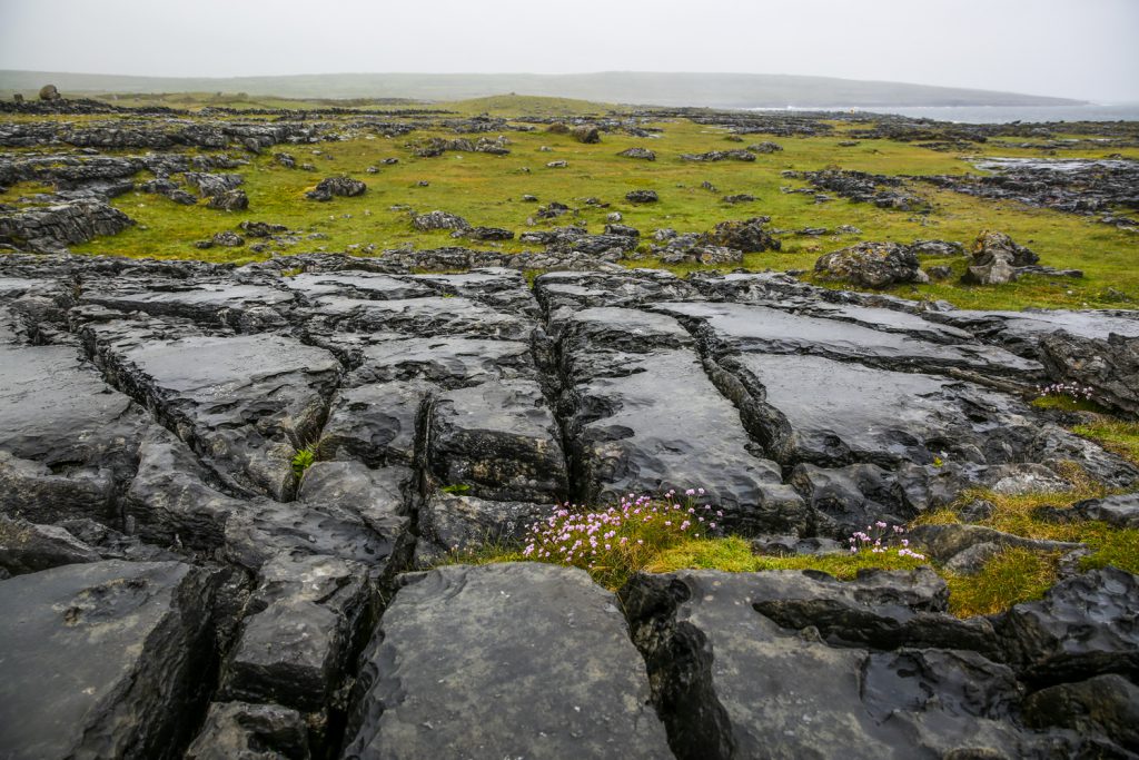 Burren, ett enormt landskap med häftiga kalkstenformationer.