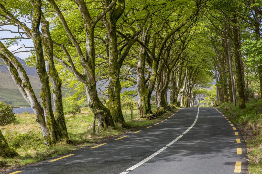 Att bila på Irland är som att färdas genom vackra tavlor