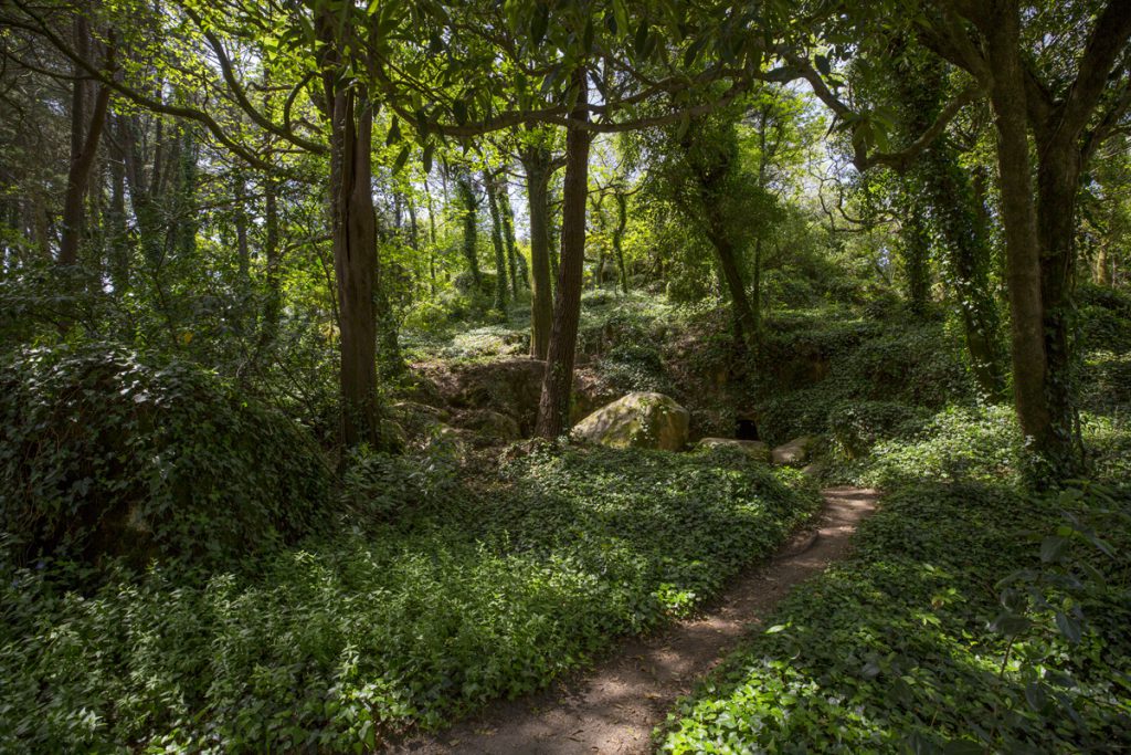 Vackra frodiga miljöer i parken kring slottet Pena