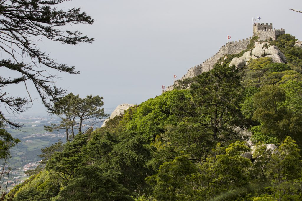 Castelo dos Mouros smälter in i miljön på berget Serra de Sintra