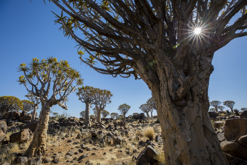 Namibia