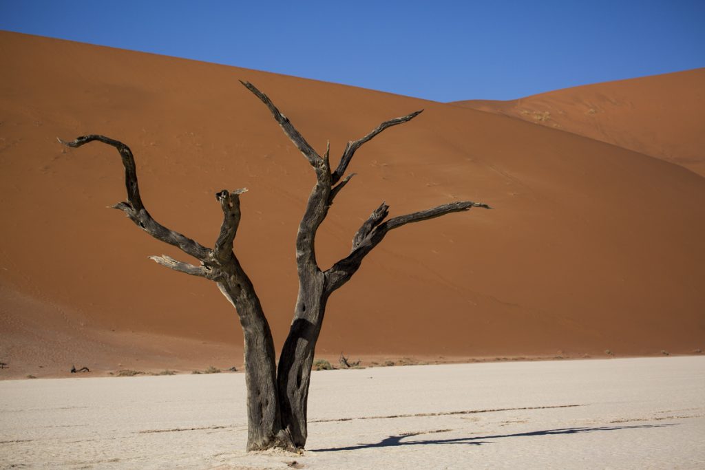 Namibia Sossusvlei