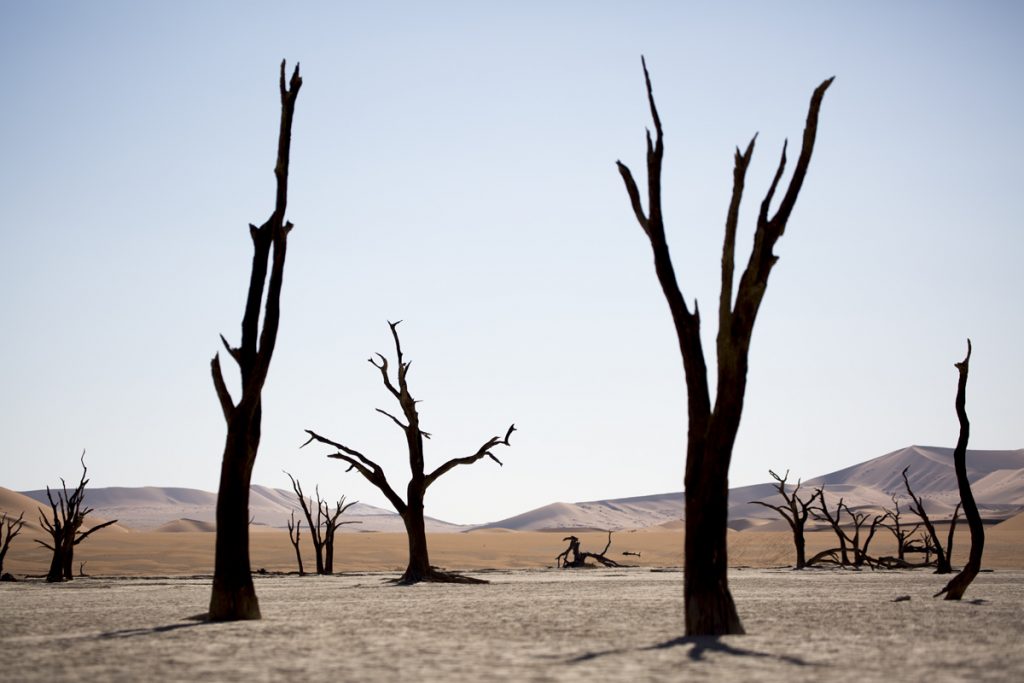 Namibia Sossusvlei