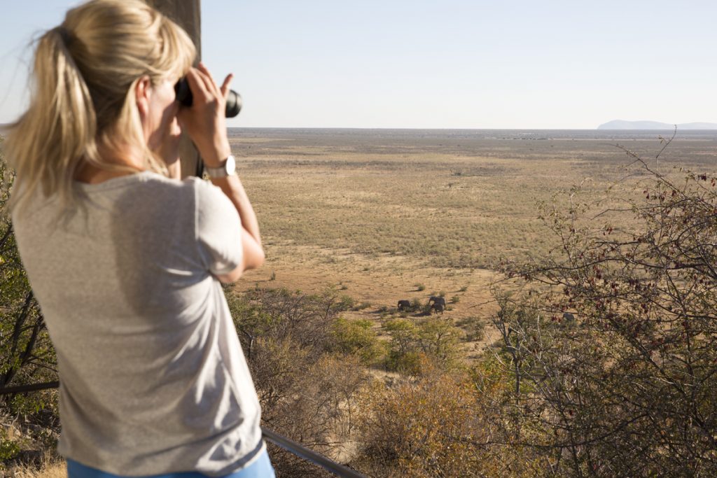 En makalös utsikt från vår altan över savannen i västra delarna av Etosha