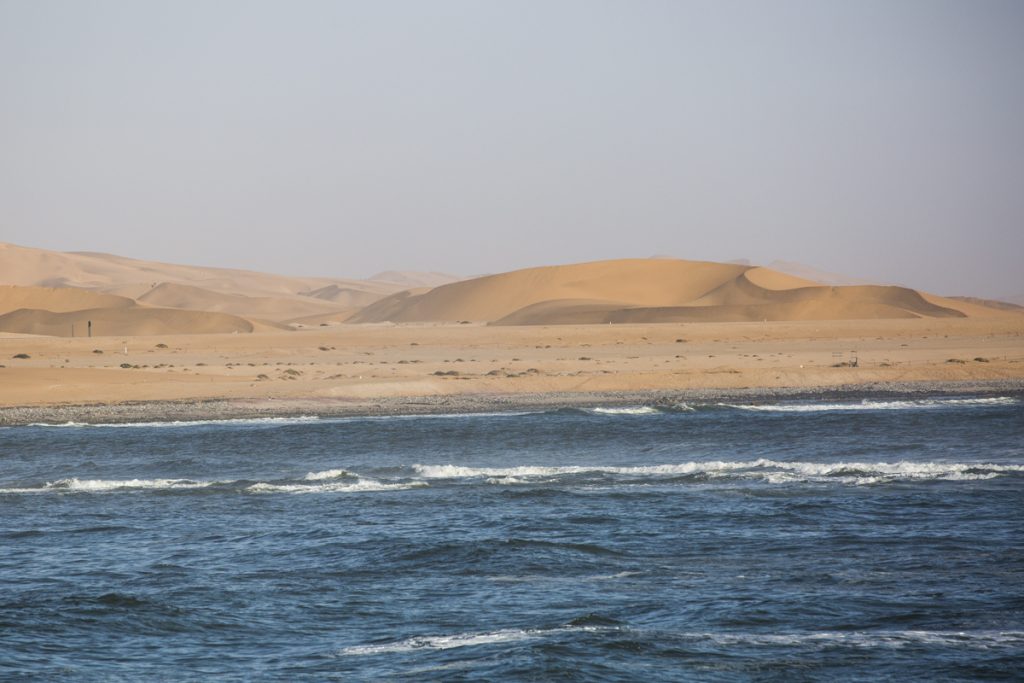 Längs Namibias kust möter öken havet, som enda platsen i världen. Just här är det dock en väg emellan.