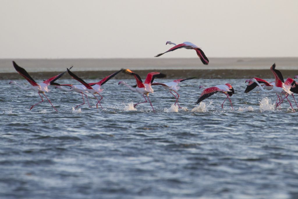 Namibia