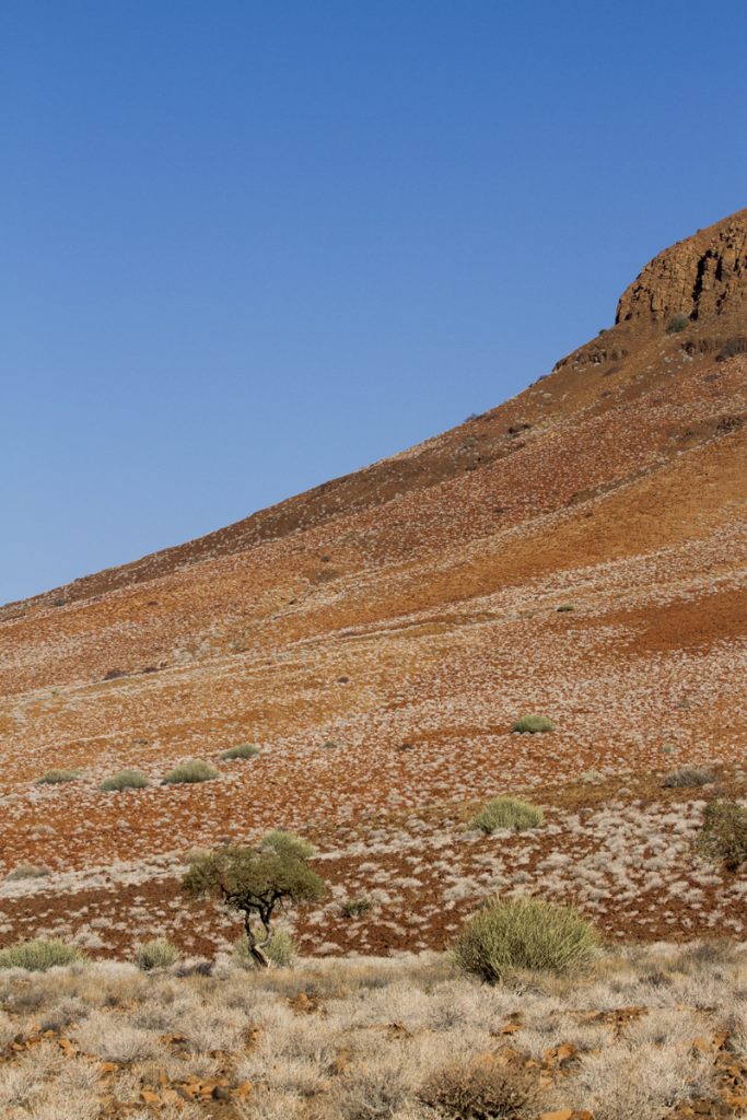 Vackra färger längs bergsluttningarna i Damaraland