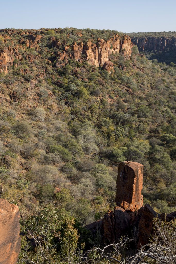 Waterberg