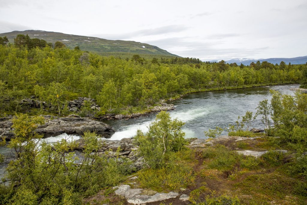 Många vackra vyer längs Kungsleden, Abiskojokken forsar för fullt och berget Nuolja visar sig i bakgrunden