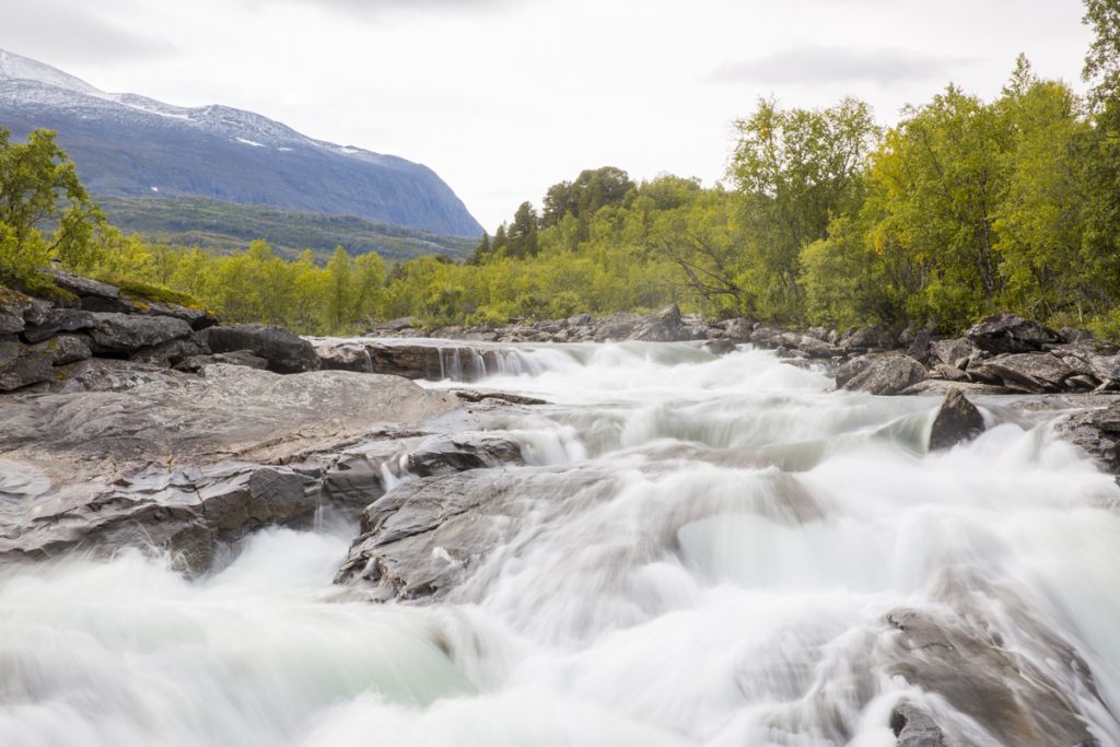 Abiskojokken är kraftfull när den forsar fram genom Nationalparken