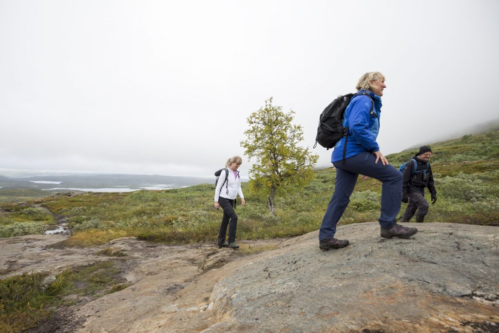 Första biten är det uppförsbacke innan det planar ut och blir ganska enkel vandring