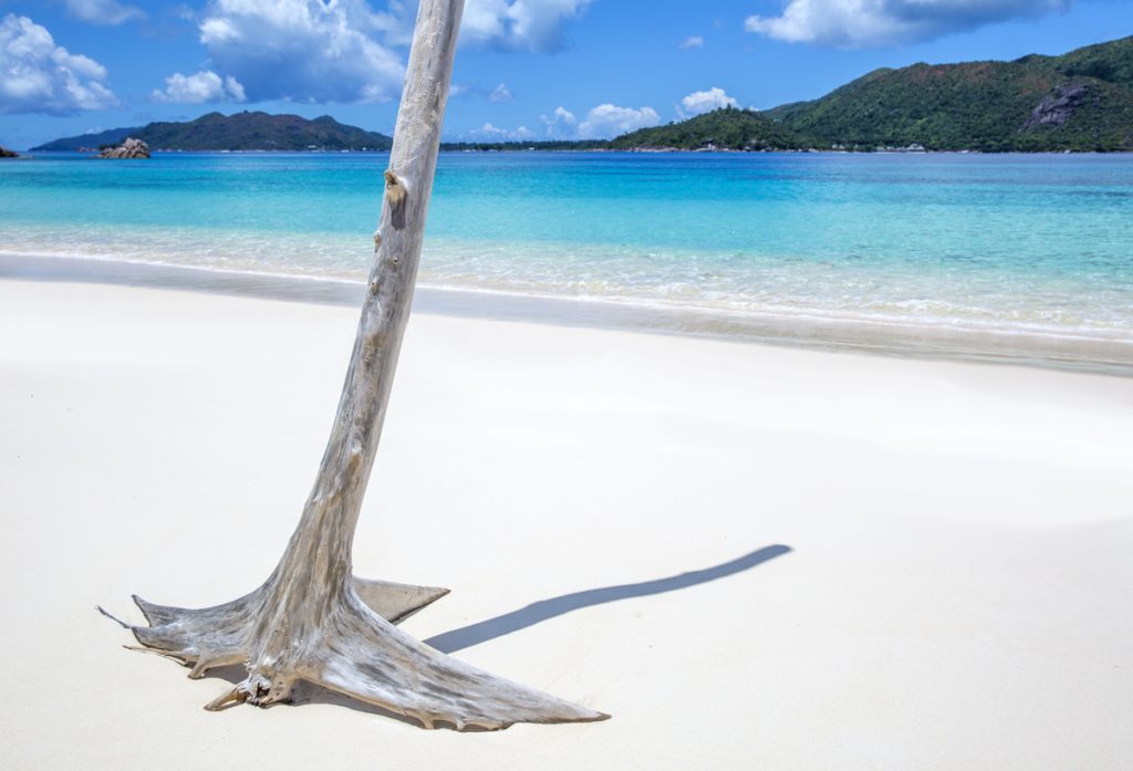 Anse ST Jose, här stryker fiskar runt våra ben och vi har en hel strandremsa alldeles för oss själva. Paradiset!