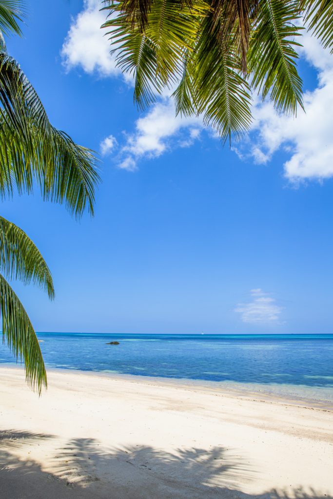 Varje strand är en exotiskt naturupplevelse