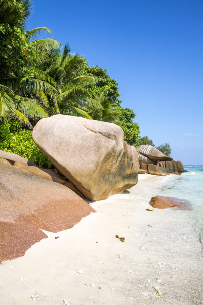 Motiven är oändliga på paradisöarna Seychellerna