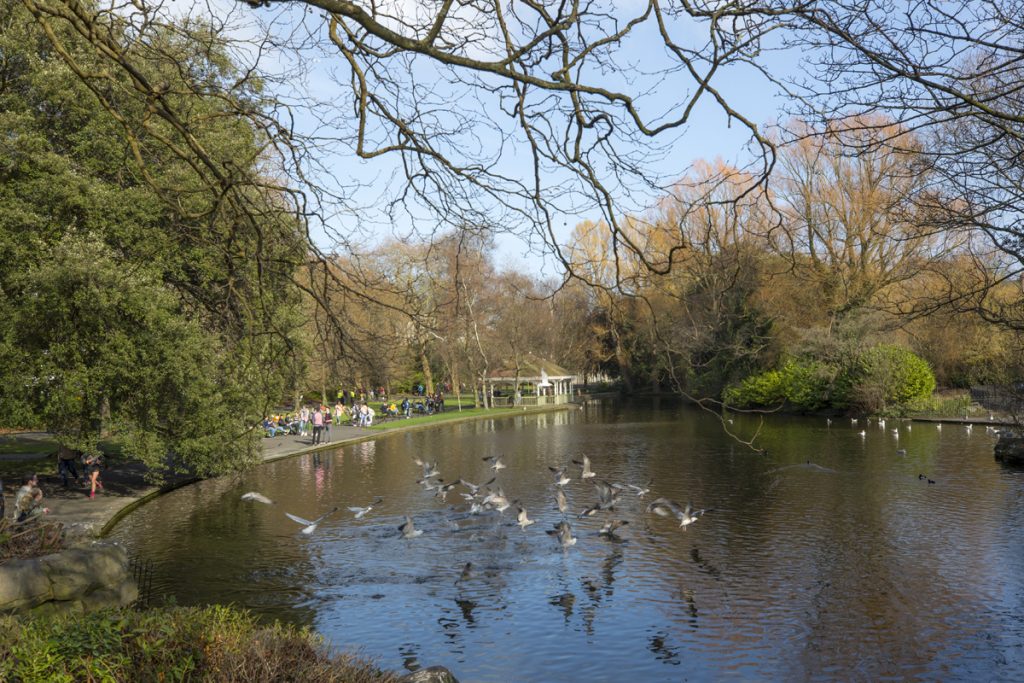 Park S:t Stephens Green visar upp en begynnande vårgrönska