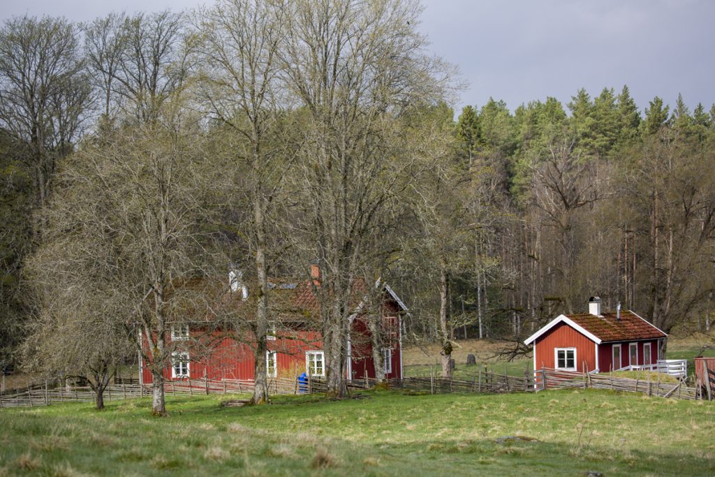 Lövö i södra delen av Store Mosse