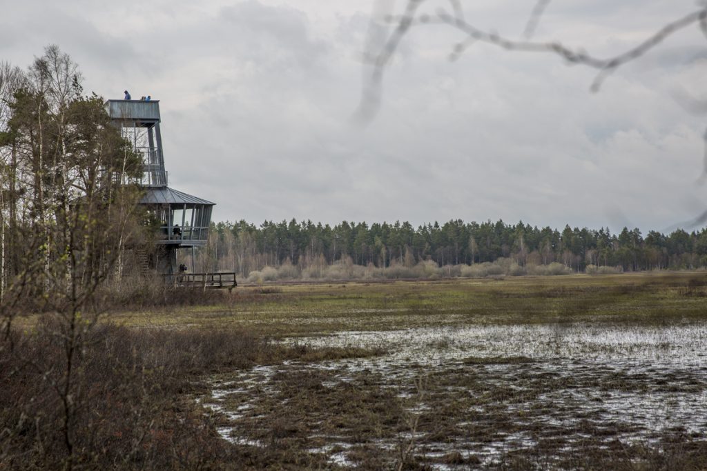 Fågeltornet vid Naturum vid Kävsjön