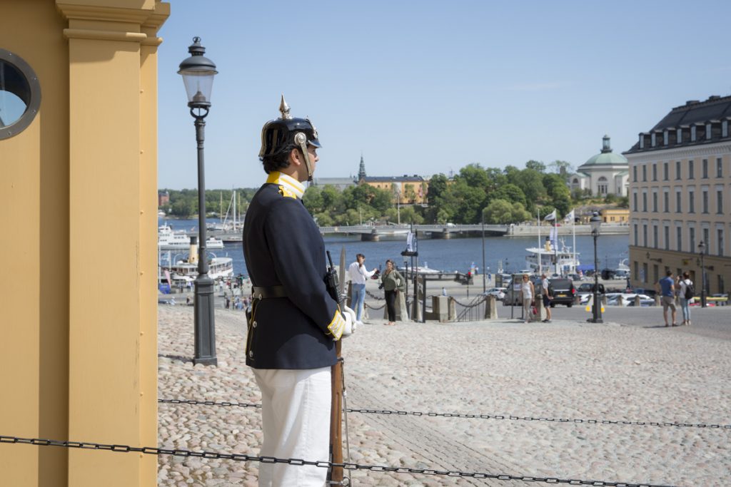 Vakt vid slottet