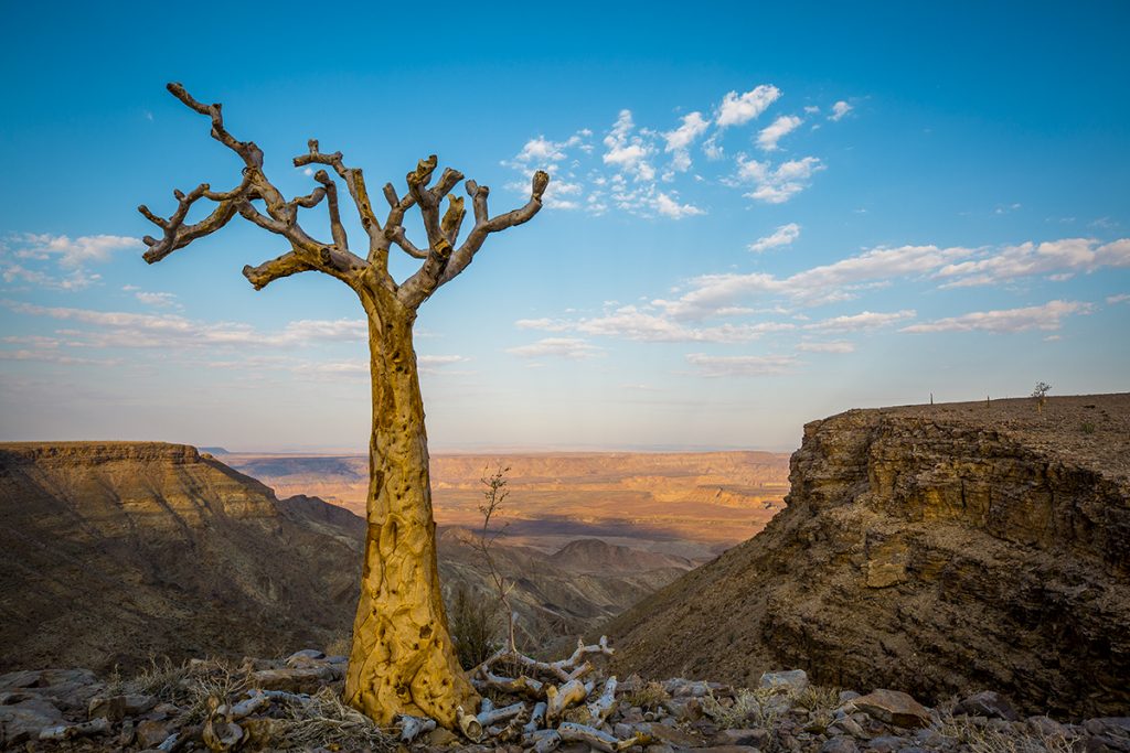 Roadtrip in Namibia. First days at our adventure in southern parts of this beautiful country with highlights like Fish River Canyon and Kolmanskop