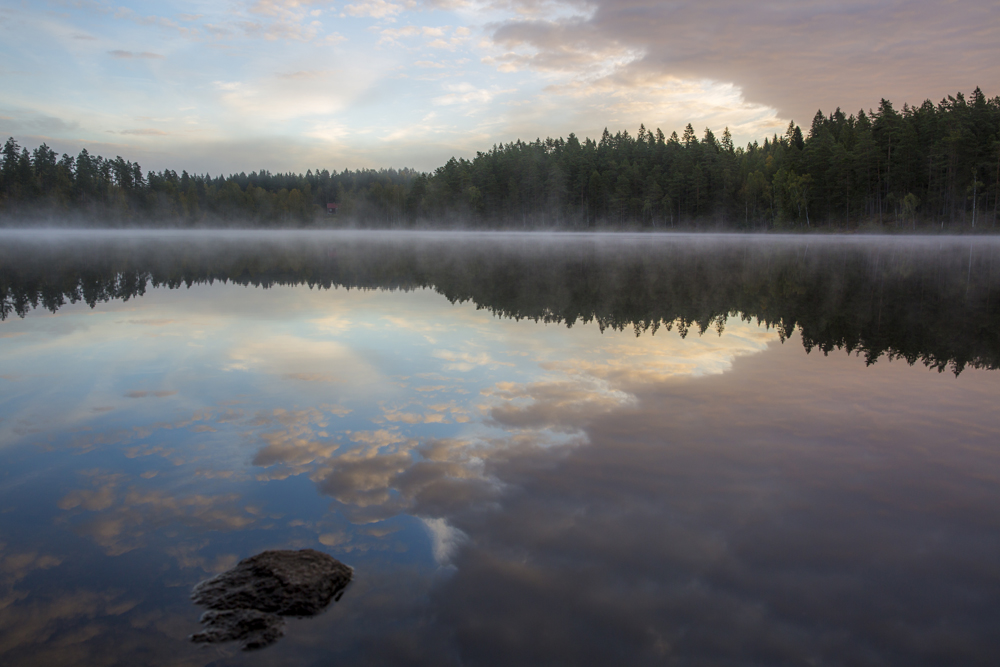 Höstmorgon