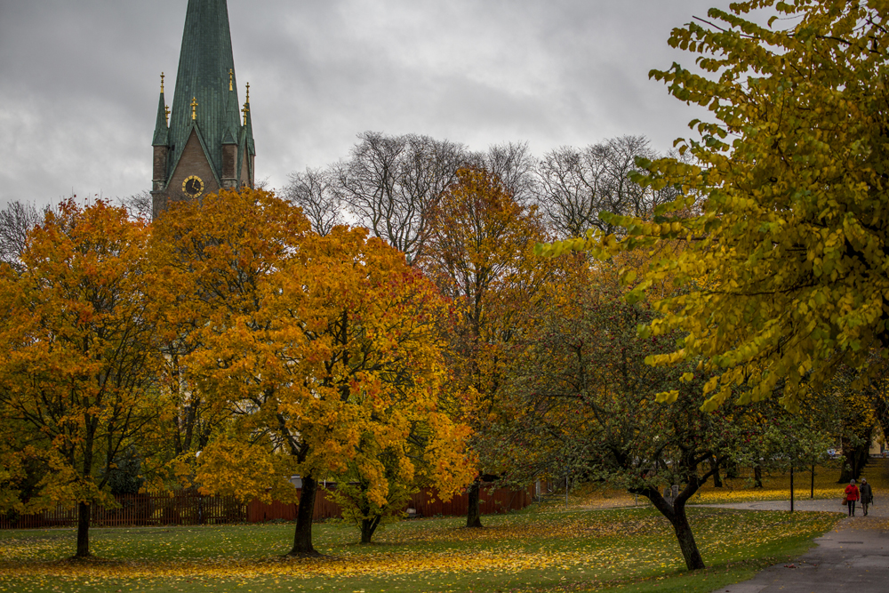 Domkyrkan i Linköping omgiven av höstens färger