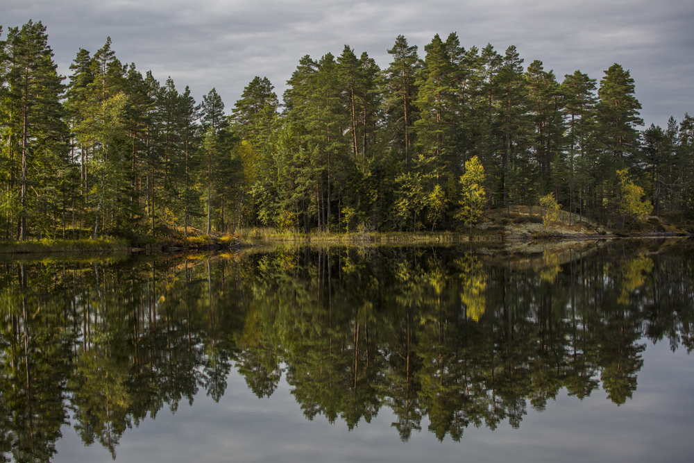 Spegelbild vid Axsjön i Östergötland