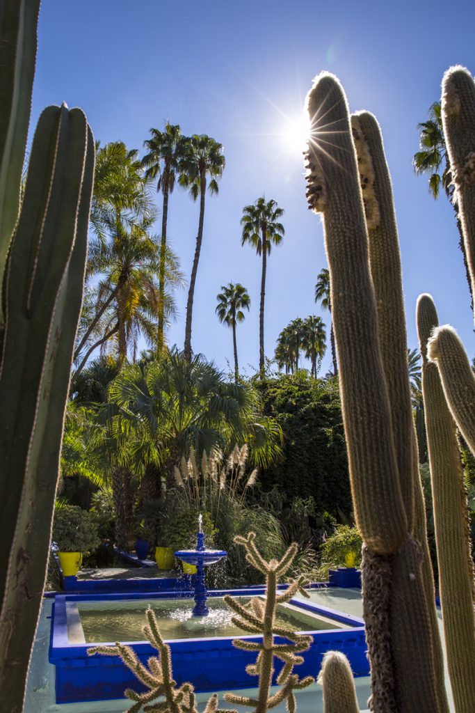 Jardín Majorelle med sina fantastiska kaktusodlingar
