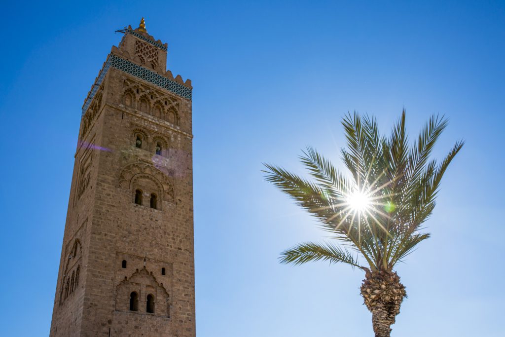 Lite solstrålar genom en palm med Marrakech stoltaste Moské Koutoubia- ett måste!