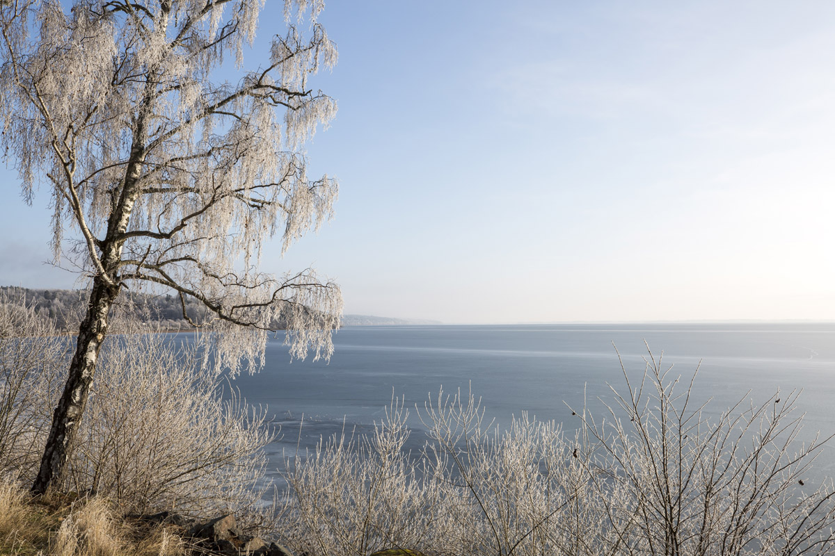 Januari i Östergötland