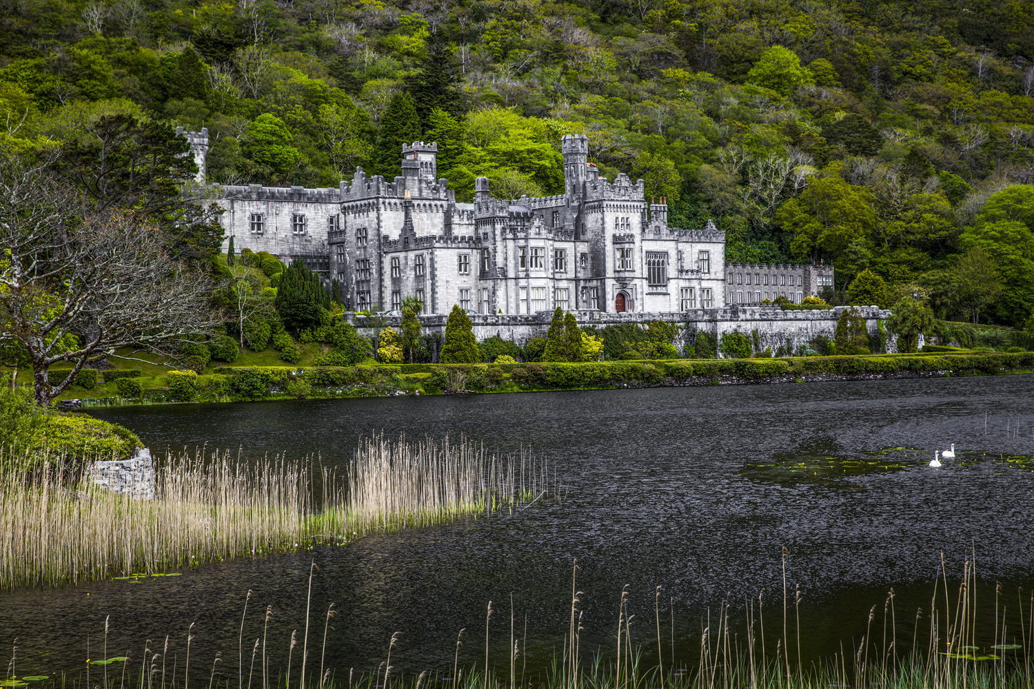 Resetips till Irlands västkust  – Vackra landskap och fantastiska platser