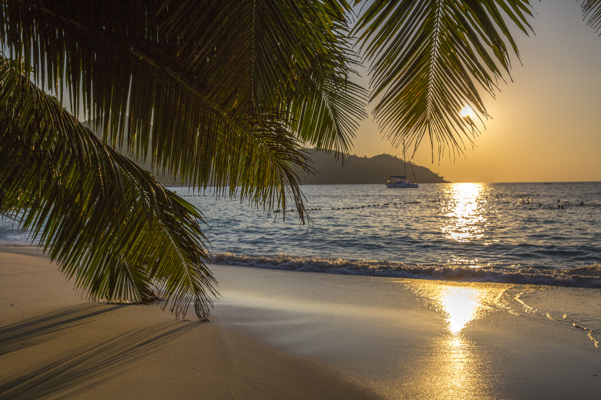 Seychellerna – se och göra på Praslin