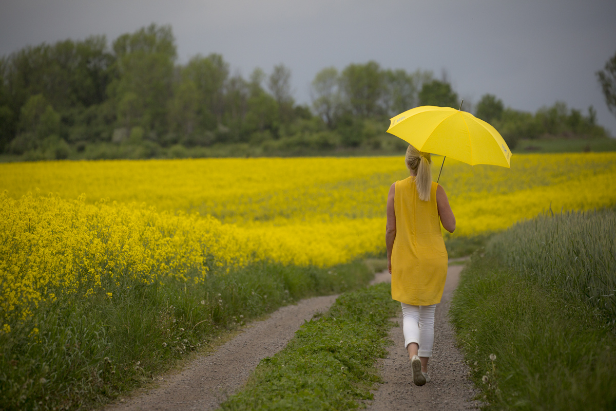 Rapsfält = sommar