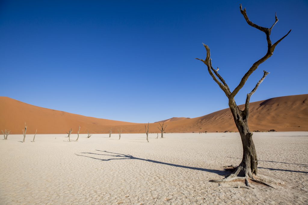 Namibia desert! Spectacular landscape in Sossusvlei and Dead Vlei in Namibia