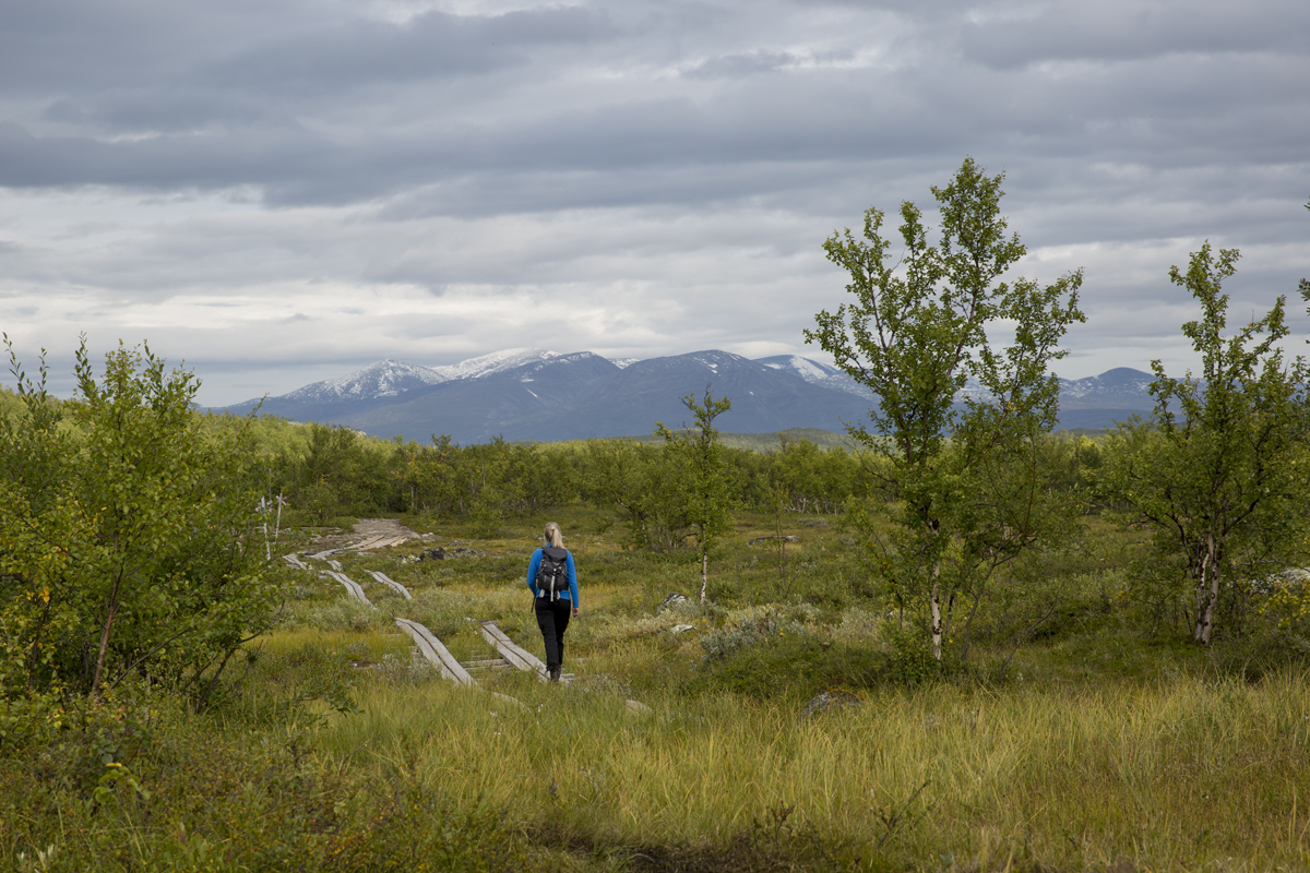 Vandra Kungsleden