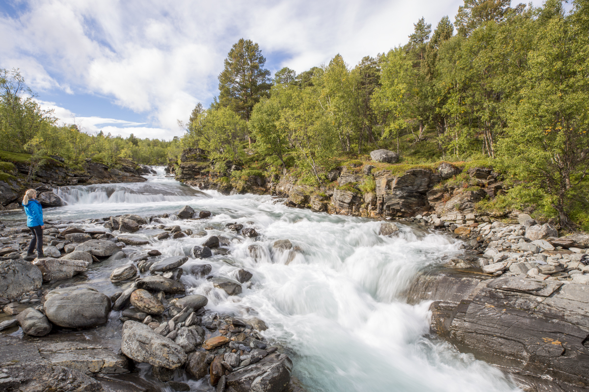 Vandring i Abisko Nationalpark