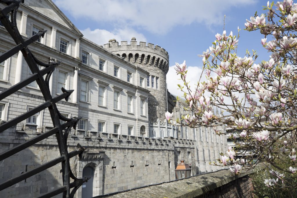 Vår i Dublin. Magnolian bjuder på blomsterprakt framför slottet