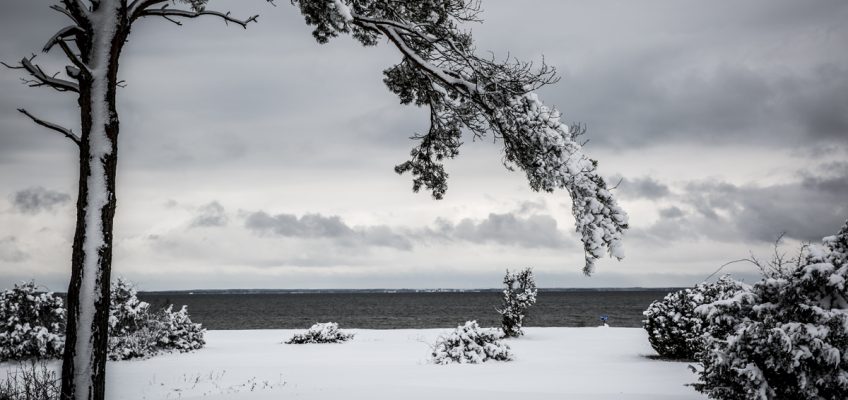 Sen vinter på Öland