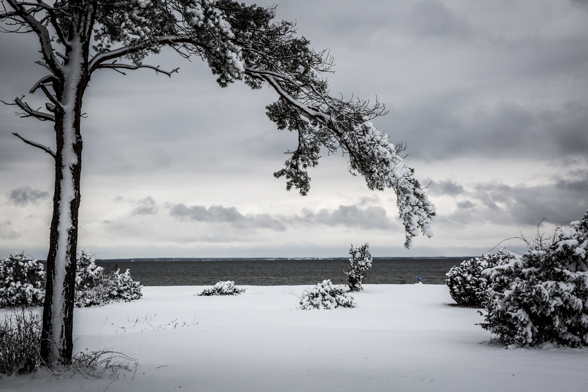 Sen vinter på Öland