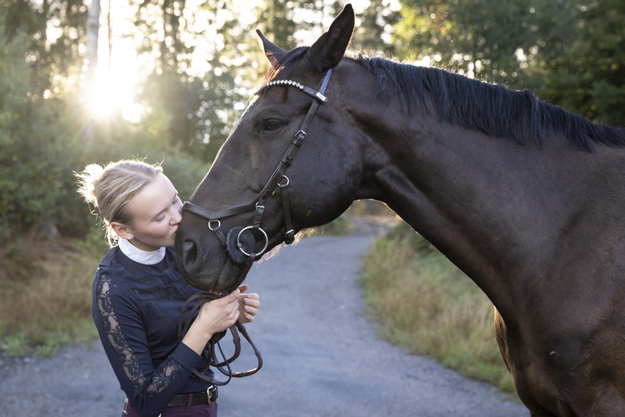 Hästfotografering